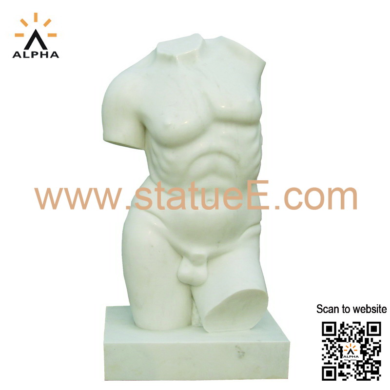 Male torso bust